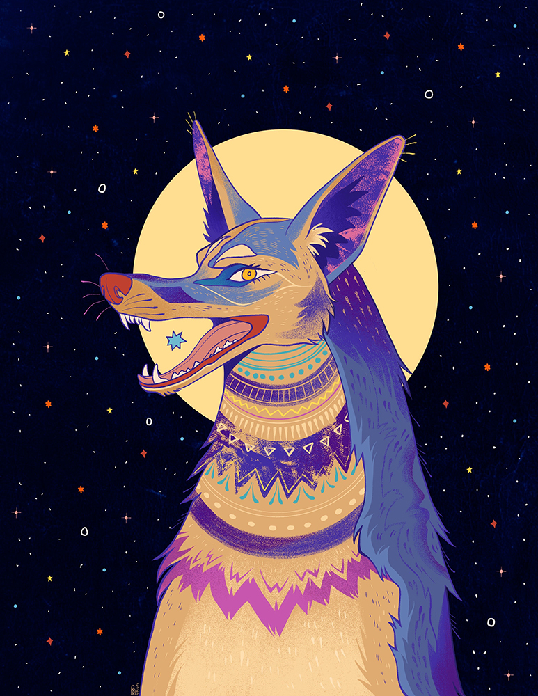 “All the stars” – Coyote illustration