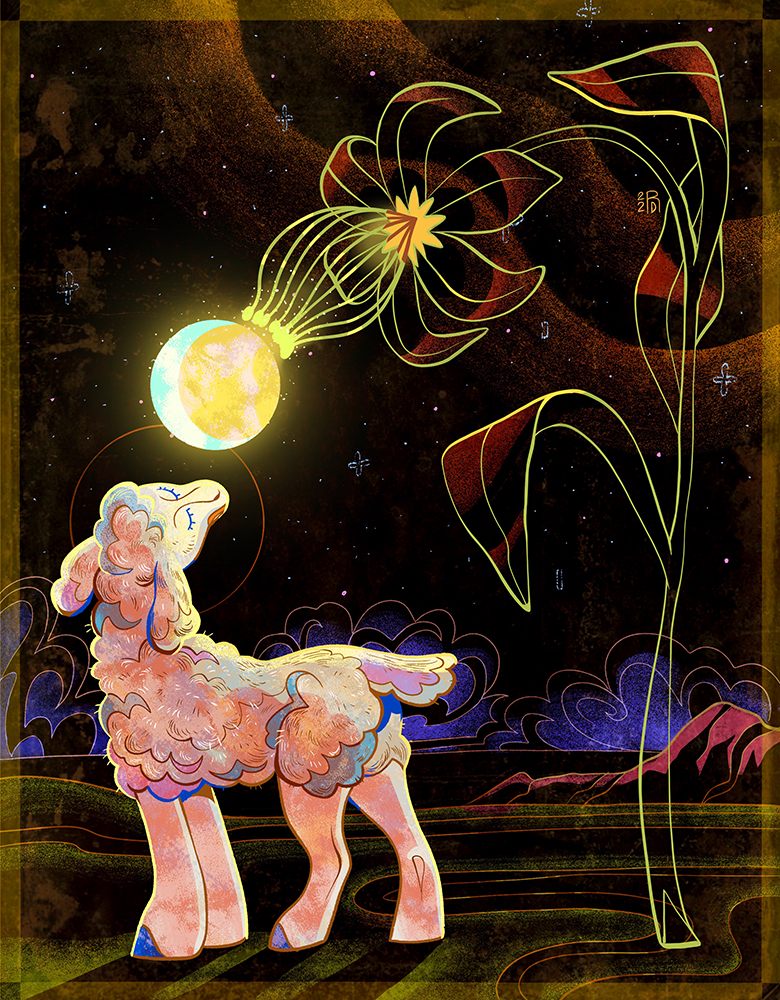 “Give me the night” – lamb and flower under a moon illustration
