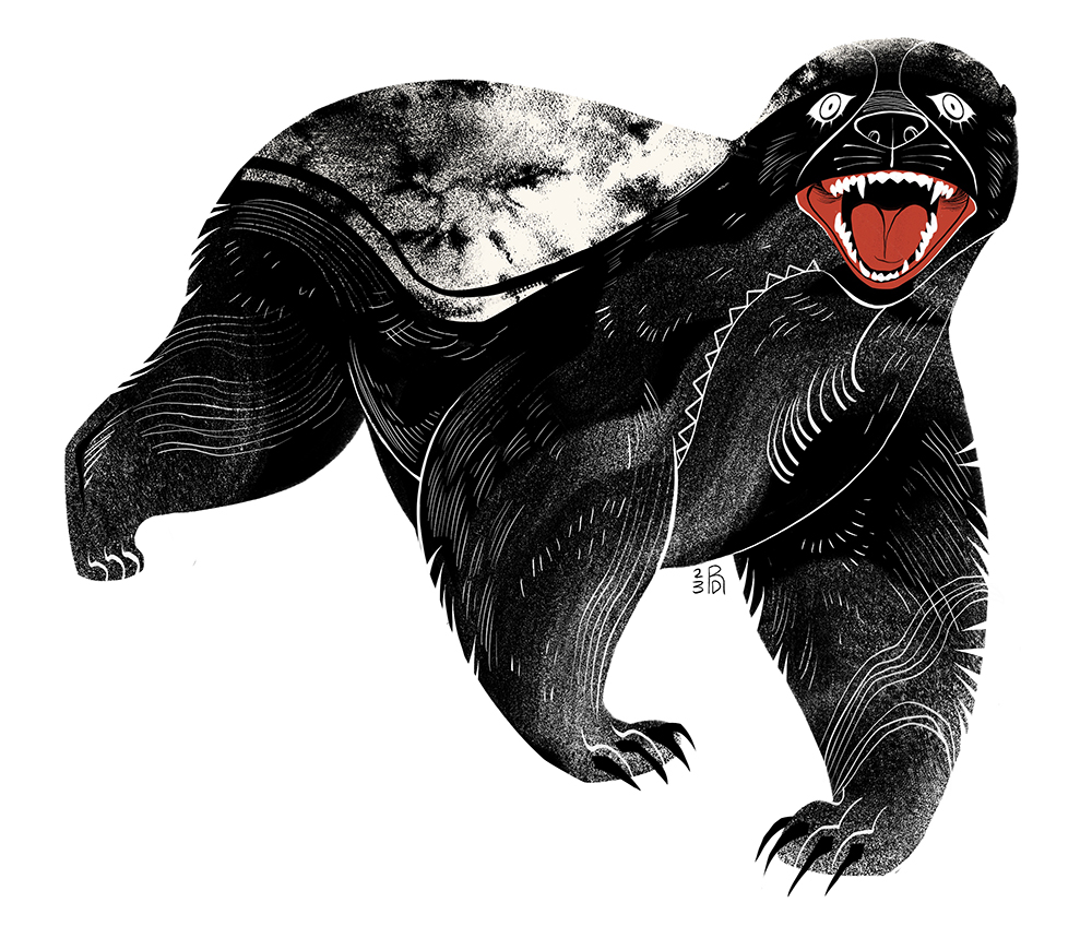 “Honey Badger don’t give a f***” – honey badger illustration