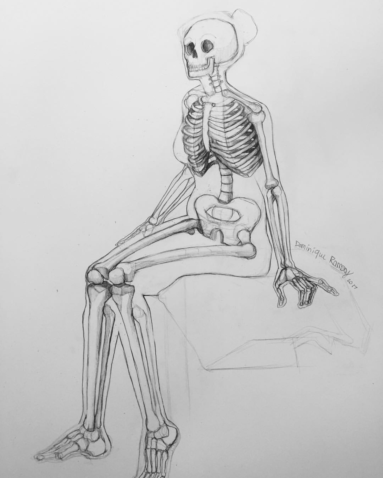 pencil drawing of a woman's skeleton.