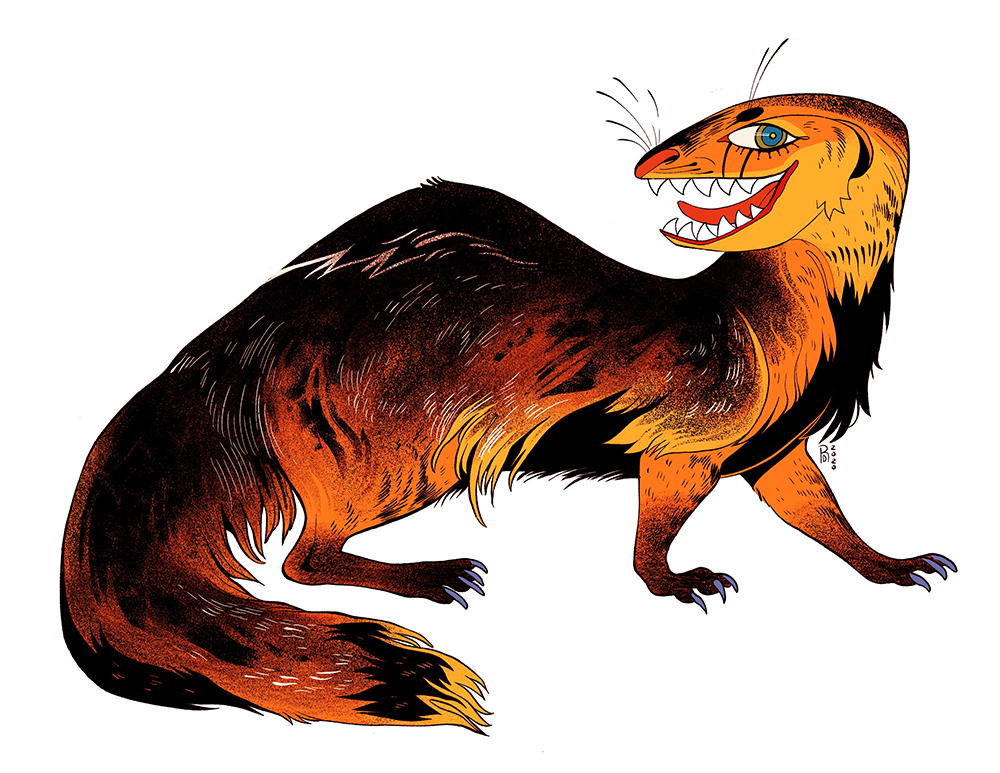 Orange and black mongoose illustration