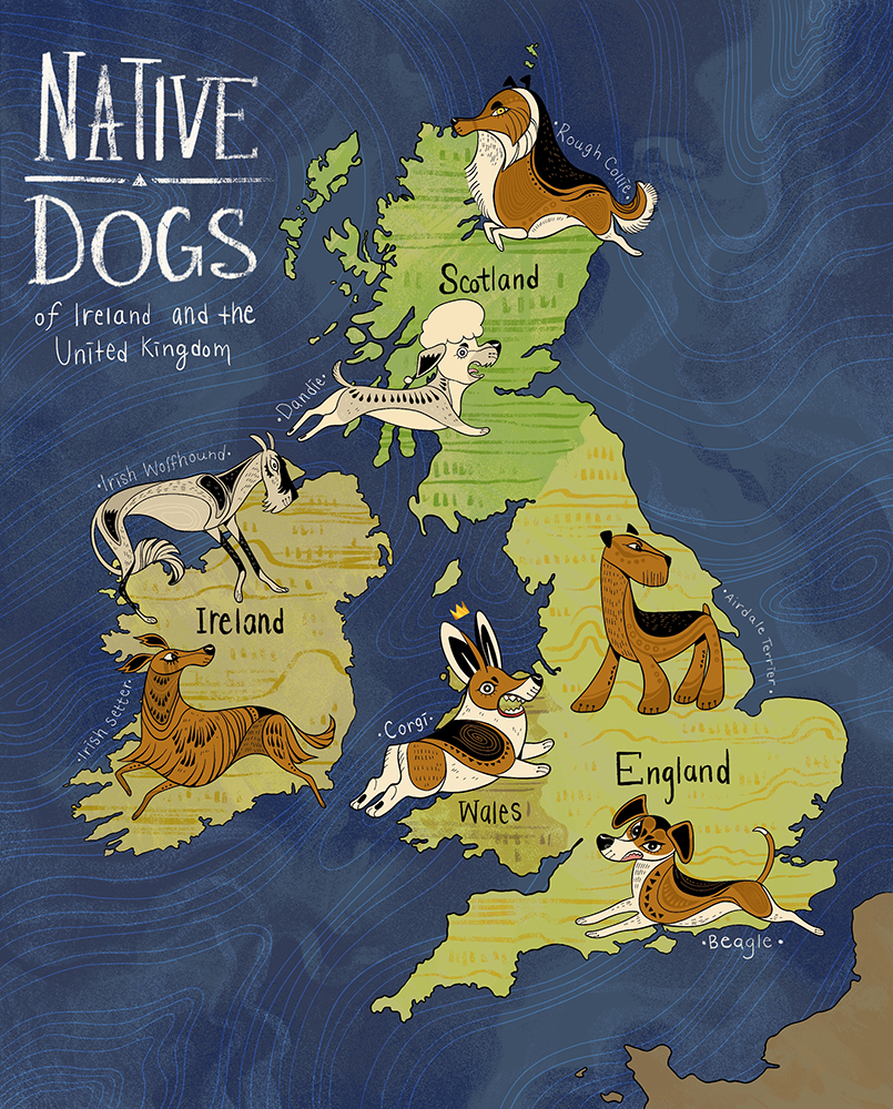 The Native Dogs of UK and Ireland – map illustration