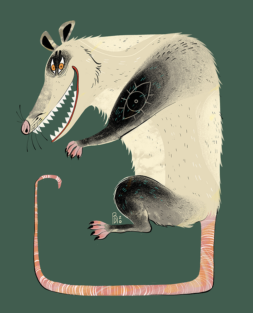 Opossum character design