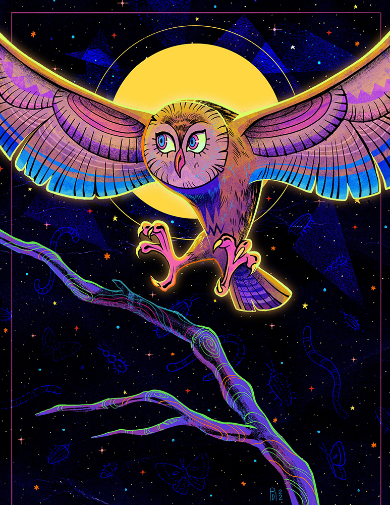 “Such a Night” – owl flying at night illustration