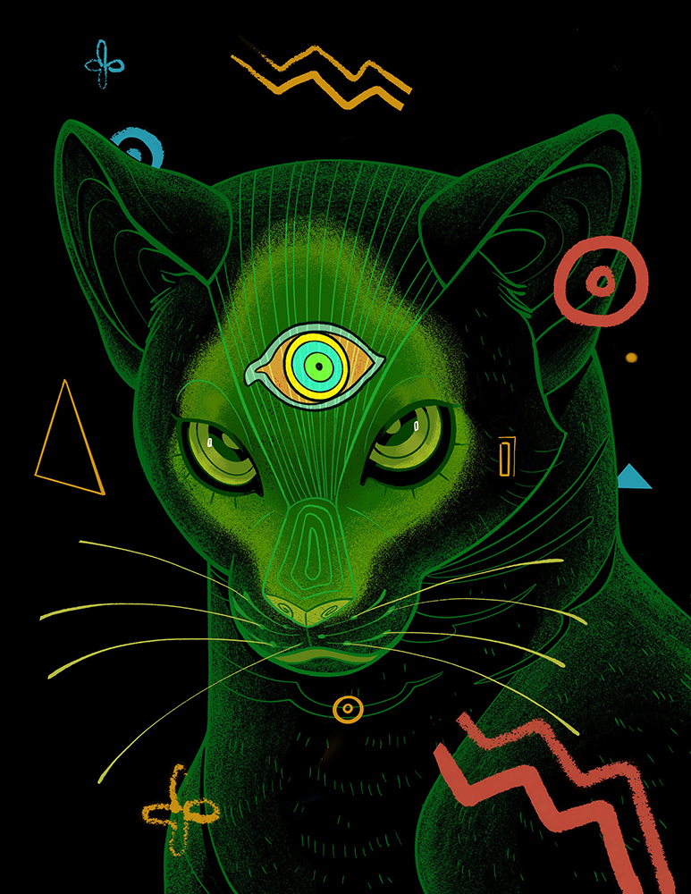 “The most extreme” –  green cat illustration