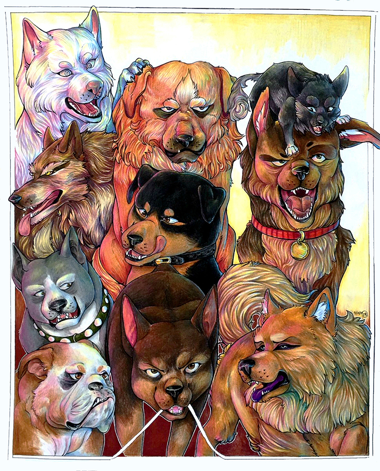 The Top 10 – traditional dogs illustration