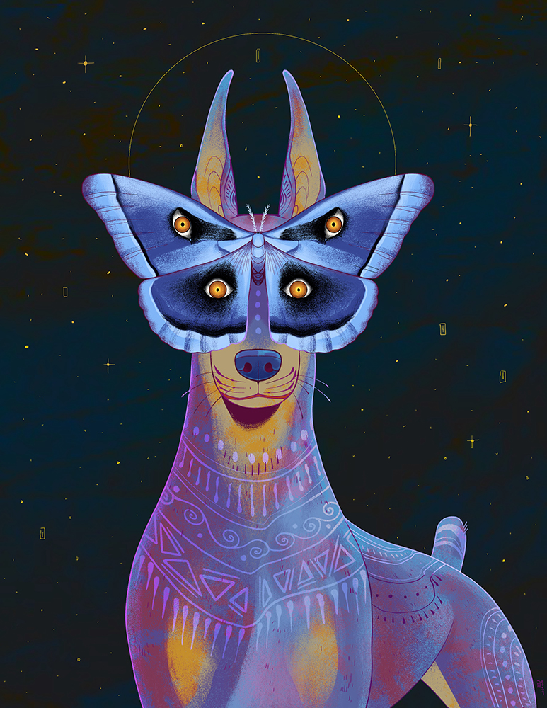 “Them there eyes” – moth and Doberman Pinscher illustration