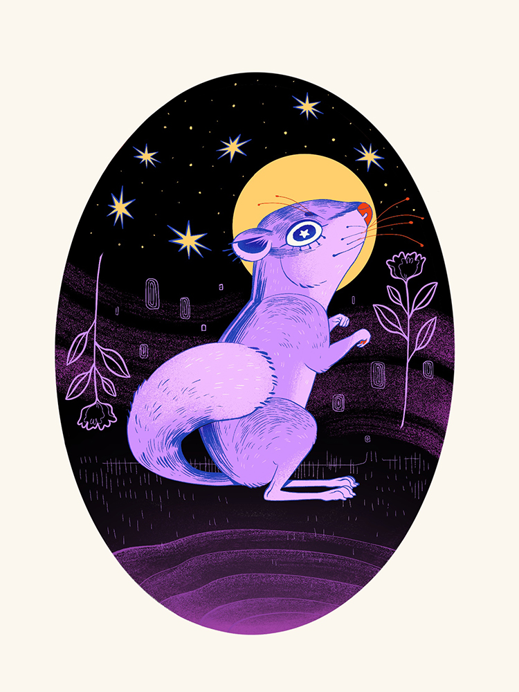 A Lilac chipmunk sitting under the stars.