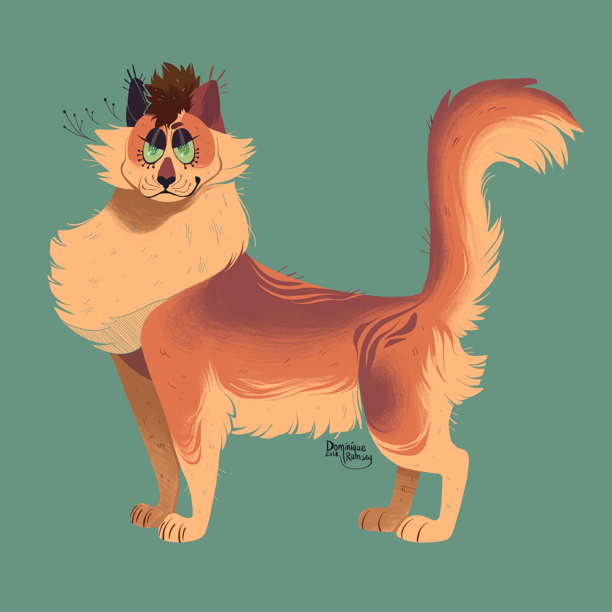 Warrior Cats: Fireheart – Orange tabby cat illustration