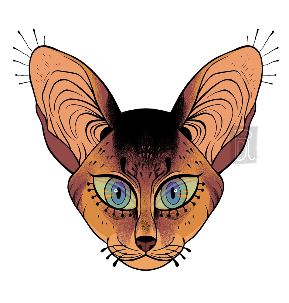 Warrior Cats: Firestar head illustration