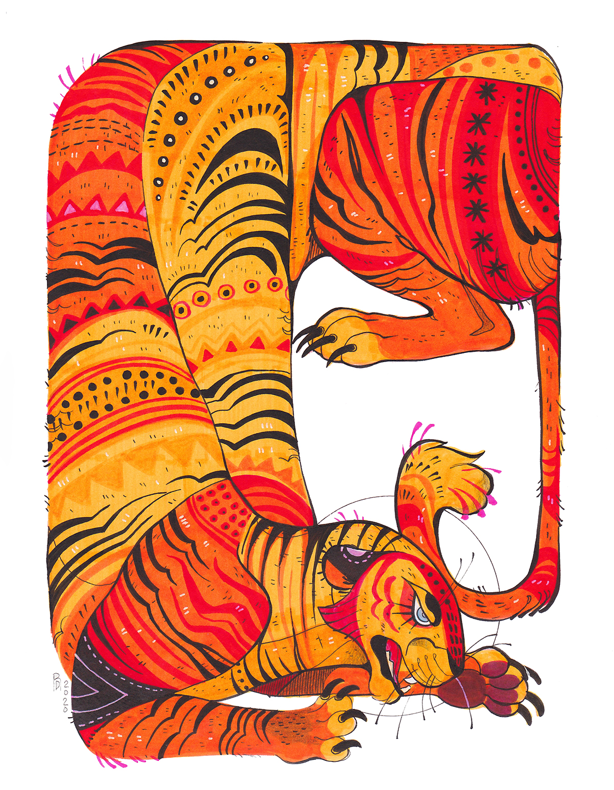 Red and yellow tiger – Traditional illustration
