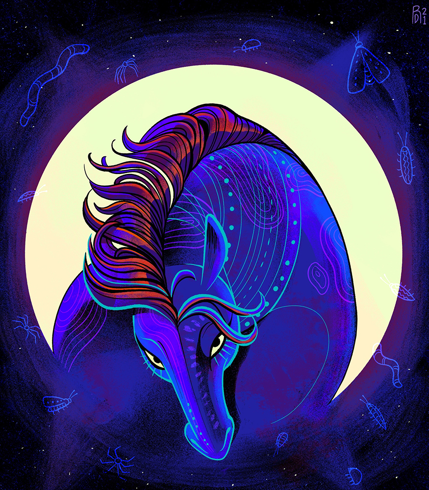 “True Blue” – horse and moon illustration