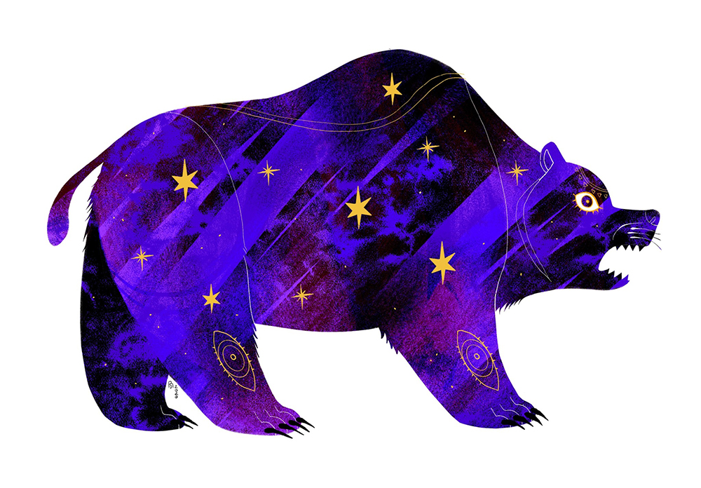 Ursa Minor – Purple and black bear illustration