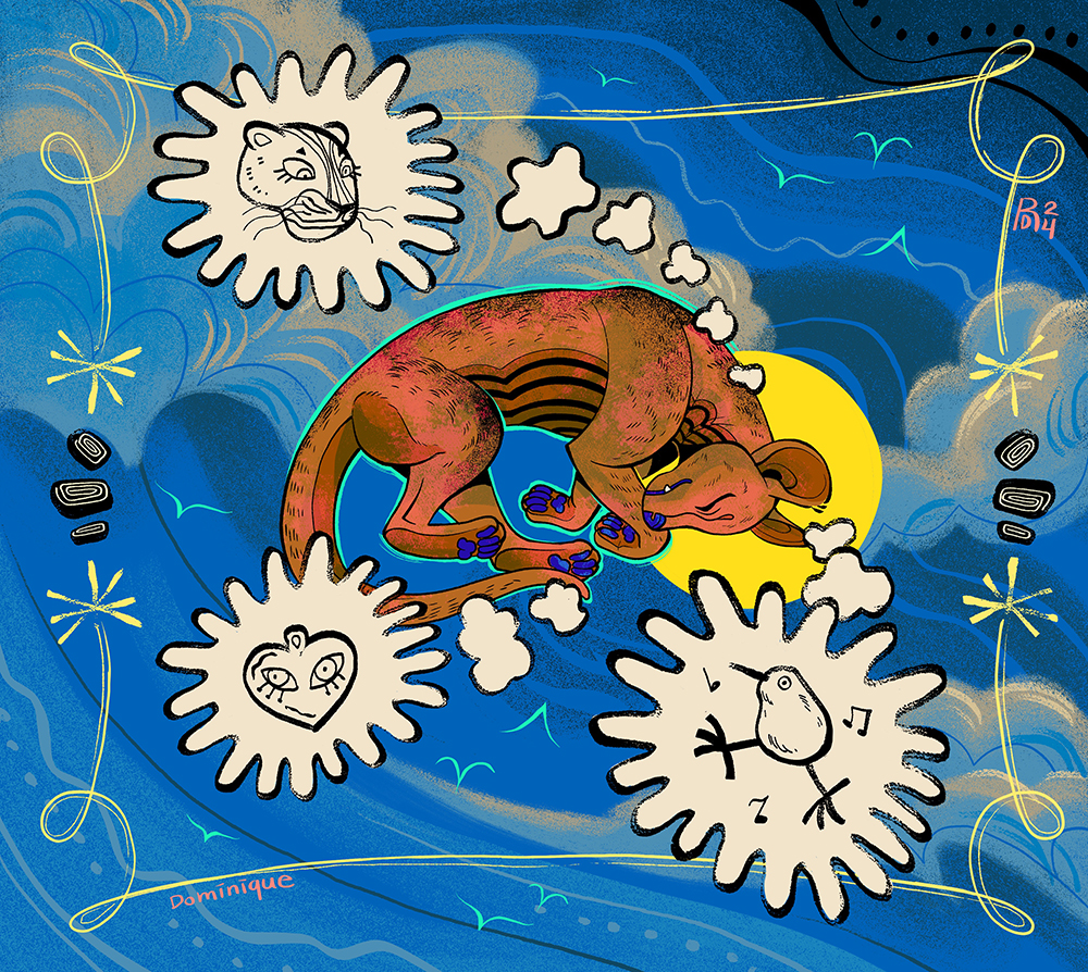 “Dream a little dream of me” – brown fossa dreaming illustration