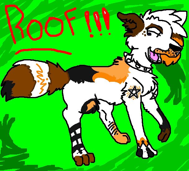 “Roof!” – white dog with brown and black patches drawing