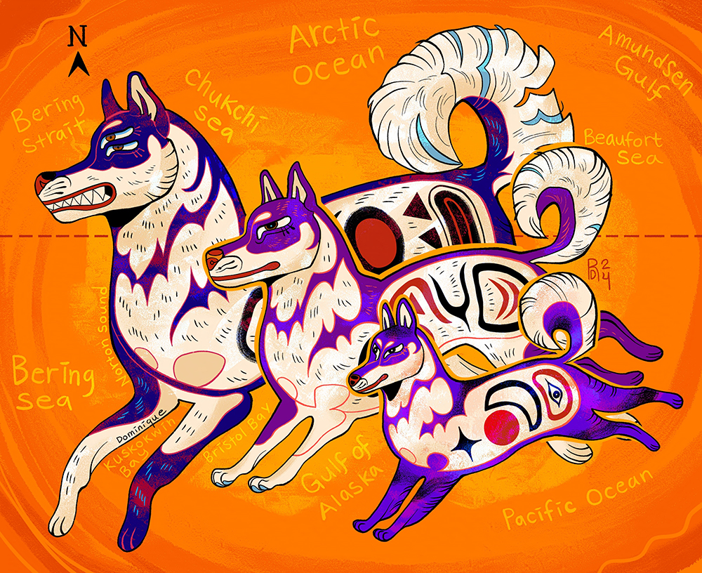 Illustration of three black and white spitz breed dogs. The dogs resemble huskies in appearance.