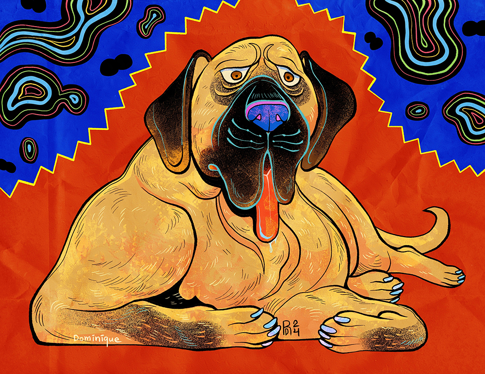 Illustration of a brown mastiff dog laying down on a red and blue background.