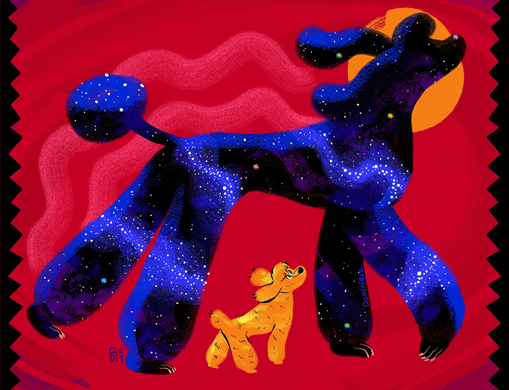 Illustration of a miniature brown poodle stands under a black standard poodle, that towers over it. The black poodle has stars in its fur and a moon behind its head.