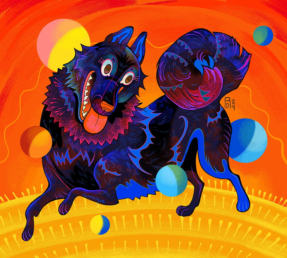 A black dog with pointy ears and curled tail surrounded by colorful balls.