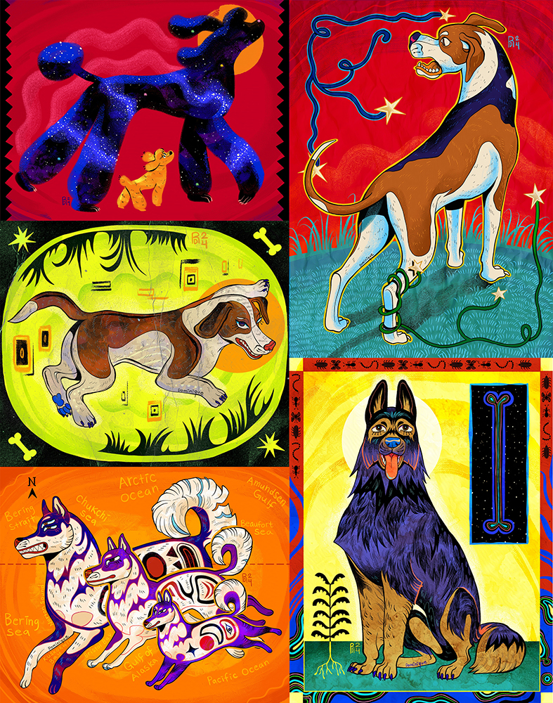 Five dog illustrations; A poodle, drever, Alaskan klee kai, Belgian Tervuren, and American Foxhound